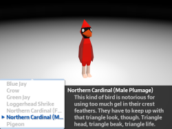 timeforbirds:  Once you see a certain kind of bird for the first time, it’ll add that bird to the list of playable birds, and it’ll show up in the bird showcase as well. There, you can look at each bird in detail, and see a little description about