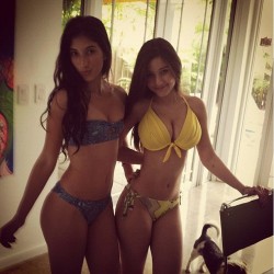 bustysister:  My two sisters. I love them both, but one doesn’t know that I just blew my load down the other one’s throat in the bathroom. I didn’t even ask her to take off her yellow bikini. 