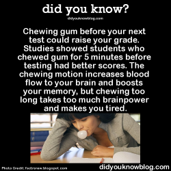did-you-kno:  Chewing gum before your next test could raise your grade. Studies showed students who chewed gum for 5 minutes before testing had better scores. The chewing motion increases blood flow to your brain and boosts your memory, but chewing too