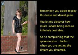 Remember, you asked to play this tease and denial game. You let me discover how much I adore being seen as infinitely desirable. So no complaining that the spikes in your tube hurt when you are getting the dream you dreamed.