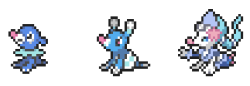 prince-primarina:  Box/Party Sprites for Popplio, Brionne, and Primarina! Resized them so they’re much clearer!~   I’m so…SO happy, look at them!! (; w ;)   &lt;3 &lt;3 &lt;3