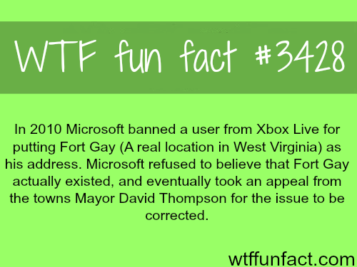 Gay Fun Facts 113