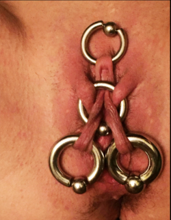 keengentlemen:  pussymodsgalore:   pussymodsgalore    An interesting and imaginative interlabia arrangement. She has two outer labia piercings with one large ring through both, then her stretched inner labia have been threaded through the ring. Her