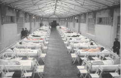 phytos:  A.F Vandevorst - S/S 1999 “A show that was held in what seemed to be an old hospital ward, lined with two rows of beds. On each bed lay a girl, fully clothed and apparently asleep. Guests were asked to sit in bedside chairs, as if hospital