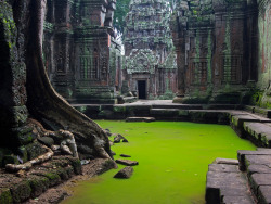 Flooded ruins at Angkor