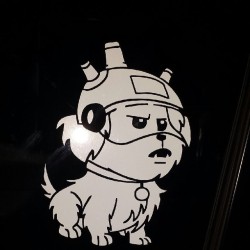 roxxieyo:  First (and probably only) decal on the new car! #RickAndMorty