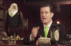 autumn-will-come:  splashmouth13:  we-smoke-the-blunts:  platypusinplaid:  America in one gif  omg the eagle exploding it  How the fuck did they get a bald eagle to wear a suit AND fist bump Steven Colbert  pistachios 