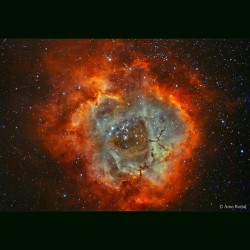 The Rosette Nebula in Hydrogen and Oxygen #nasa #apod #rosette #nebula #rose #hydrogen #oxygen #ngc2244 #ngc2237 #unicorn #monoceros #universe #space #science #astronomy