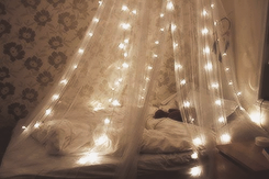 canopy of lights | Tumblr