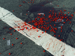 nitramar: Cherries spilled on crosswalk. New York, USA. 2014. Photo by Christopher Anderson / Magnum Photos.