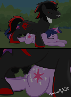 Shadow The Hedgehog OC x Twilight Sparkle  Requested by: CyrilSmith over at Deviant Art.  ~Shutterfly  