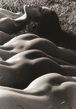 grigiabot:  Lucien ClergueFour nudes, Tuscany, Italy (1993)  ALSO