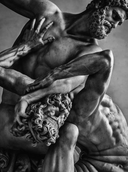 erosart:    Statua di ercole e il centauro nessoPiazza della Signoria, Firenze  I would stare all day