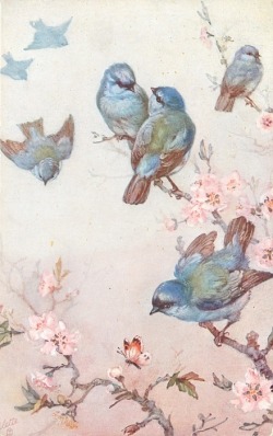 vintagemarlene:  bluebirds