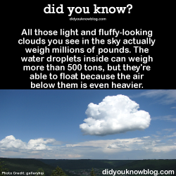 fishermod:  did-you-kno:  All those light and fluffy-looking clouds you see in the sky actually weigh millions of pounds. The water droplets inside can weigh more than 500 tons, but they’re able to float because the air below them is even heavier. Source