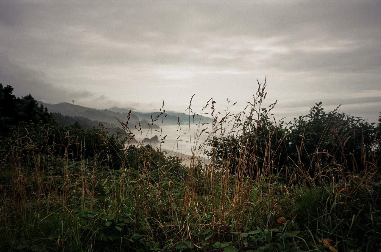 Oregon Coast - Late August 2014 - More @ https://highschoolpoppers.com