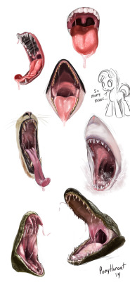 clop-dragon:  ponythroat:  ~Maws_SpeedPaints~ Here’s some Maw practice. Each one roughly took 20-30 min. References definitely used, none are direct copies. Need to practice more. Which Maw do you like?  (Some things are obviously exaggerated)  That