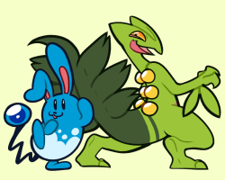cheesecakewitch: i replayed omega ruby to pass the time this summer and i loved my team so much i HAD to draw them all