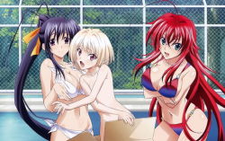High School DxD New Visual Collection Vol.2