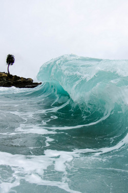 wonderous-world:  Wave by Water is Blue