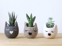 culturenlifestyle:  Cute and Fuzzy Animal Planters by Stella MelgratiItalian artist Stella Melgrati creates adorable handmade felted flower pots in her independent boutique The Yarn Kitchen. Just in time for Spring, the adorable animal planets combine