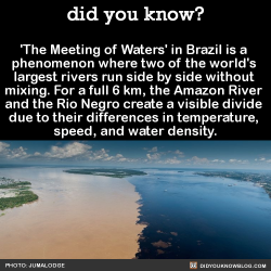 did-you-kno:  ‘The Meeting of Waters’ in Brazil is a  phenomenon where two of the world’s  largest rivers run side by side without  mixing. For a full 6 km, the Amazon River  and the Rio Negro create a visible divide  due to their differences in