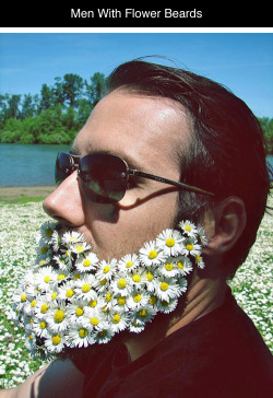 ghastly:  tastefullyoffensive:  Men With Fabulous Flower Beards [boredpanda]Previously: Guys With Fancy Female Hairstyles  I have so many emotions  WTF?!