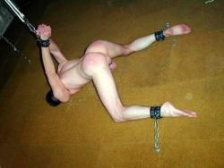 knottyzac:  amateurmalebdsm:   Blogs I Follow: Cock and Ball Torture : Amateur CBT : Amateur FemDom :  Amateur Chastity : Amateur-BDSM.org Amateur Male BDSMThe best free Male BDSM   Tied for fucking. Spanking or ass play.