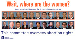 thefeministarchivist:  whiteguysdoingitbythemselves:  Republicans have made their choices for the House Judiciary Committee, and they are all white men who oppose abortion rights. Tip courtesy of angryblacklady.   literally fuck everything 