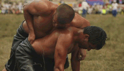 princessesandbutts:  So Tumblr has just introduced me to something called, “Turkish Oil Wrestling” which seems to consist of oiled-up, shirtless, swarthy, muscular men wrestling and sticking their hands down the other’s tight pants.  There are