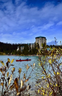 greatwideworldphoto:  Final Paddle | Original by Great Wide World PhotographyTaken in Alberta, CanadaPlease don’t remove creditsShop | Instagram | Portfolio
