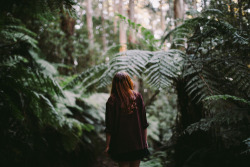 deanraphael:  Be curious. Be you. willowbambi shot by me // Forest of Dreams - full series here