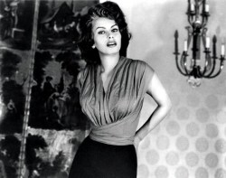 gatabella:  Sophia Loren  