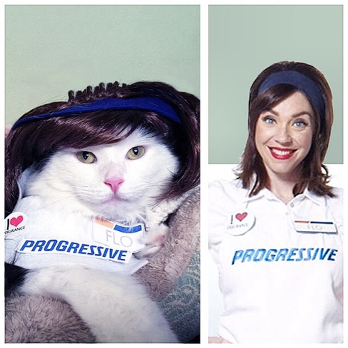 Flo progressive insurance girl costume