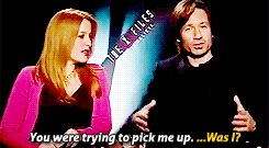 janel-moloney:  Gillian: Is there one thing in particular that you miss about the series? Besides me? David: You took away my answer!  