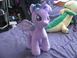 lionessjenna:  fiztheancient:  my pone i need to get a better hair comb for her because the one i used ripped out a lot of hair :(  what i do to fix up my pones hair is light shampoo, rinse and hair conditioner and rinse again, the conditioner makes the