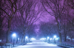 Central Park is dreamy in tonight’s snow  				Inga&rsquo;s Angle 				One shutterbug&rsquo;s take on the Big Apple 		  
