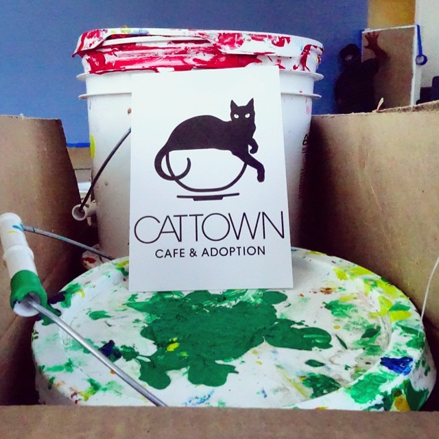 Our muralists are sealing up the &lsquo;Cat Zone&rsquo; and getting to work! Can&rsquo;t wait to show you all what they&rsquo;ve cooked up &gt;^. .^&lt;