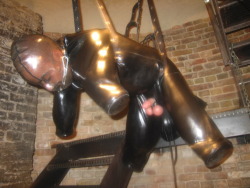 nice way to spend your life as a sexy suspension bondage gimp pig