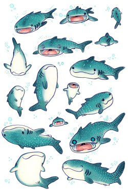 eshkanscab:  these are my whale sharks that i’m selling on things on my redbubble account!!you can get them on whatever plus i have some stickers!