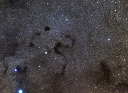 the-wolf-and-moon:    Barnard 72, The Snake in the Dark