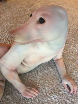 ahegaopuppy: subject-jp293:   abdl-jonoz:   mommycarol:  ahegaopuppy:  my little bork  what the fuck am I looking at  I am genuinely scared. 