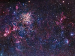 vertigoheadspace:  More APOD site comparisons: 1) The Tarantula Zone by Robert Gendler    Apr. 26, 2008 2) The Cosmic Web of the Tarantula Nebula by Joseph Brimacombe    Nov. 11, 2008 3) In the Heart of the Tarantula Nebula by ESA, NASA, ESO, Danny