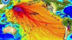 gorgeouses:  Could everybody stop falling into the hoax that the Fukushima power plant has contaminated all of the pacific ocean? Not only has snopes confirmed that the hoax is false but National Geographic has run two features in the past month that