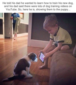 fishmech:  mainmanblackdynamite:  tastefullyoffensive:  He’s so focused. (via saraboulos)  This is so pure  Good dog 