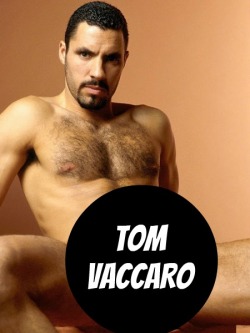 TOM VACCARO at TitanMen - CLICK THIS TEXT to see the NSFW original.  More men here: http://bit.ly/adultvideomen