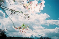 brigettebloom:  part 3/5 spring at mt. fuji! one of those bright spring days where everything feels hopeful and new. i took this on a disposable camera, and this is exactly how it came out. the film captured the colors perfectly! the sky was such a happy