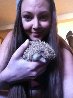 fuckmeharderbabyyy:  Someone come hang with me. She is having none of my shit.  I love hedgehogs :)