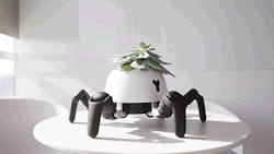 solarpunk-aesthetic: This adorable little robot is designed to make sure its photosynthesising passenger is well taken care of. It moves towards brighter light if it needs, or hides in the shade to keep cool. When in the light, it rotates to make sure