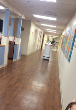 qweety:  rainbrolly:  i am at the hospital today with my mom and there is this little robot that just boops around and makes cute noises and says excuse me when it passes. when it delivers the medicine it’s carrying, it chirrs and says little things